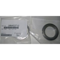 Купить Ricoh D2023121, доставка D2023121