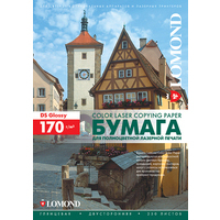 Купить Lomond 0310221, доставка 310221